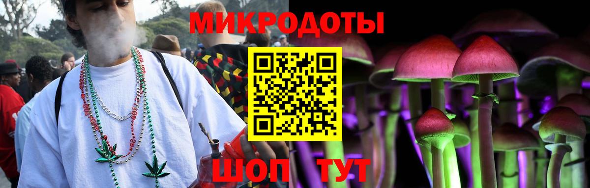 Псилоцибиновые грибы MAGIC MUSHROOMS Кингисепп